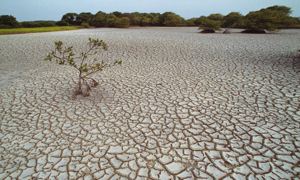 water-scarcity-8-7-2012-overview-image-hi-53628-jpg-photos-wwf