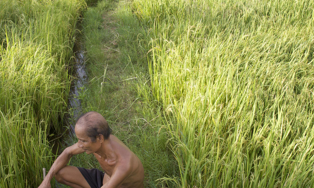 Agricultural Practices in the Greater Mekong