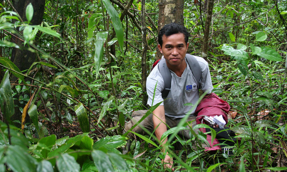 Greater Mekong Promoting Sustainable Forestry