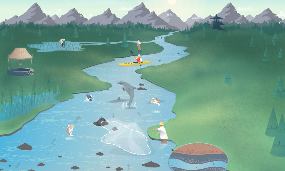 Background illustration Free Flowing Rivers