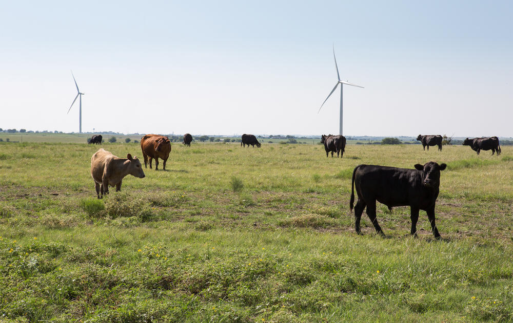 windmill tx spring2018