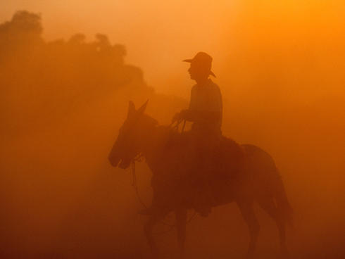 A rancher on a horse in the Pantanal