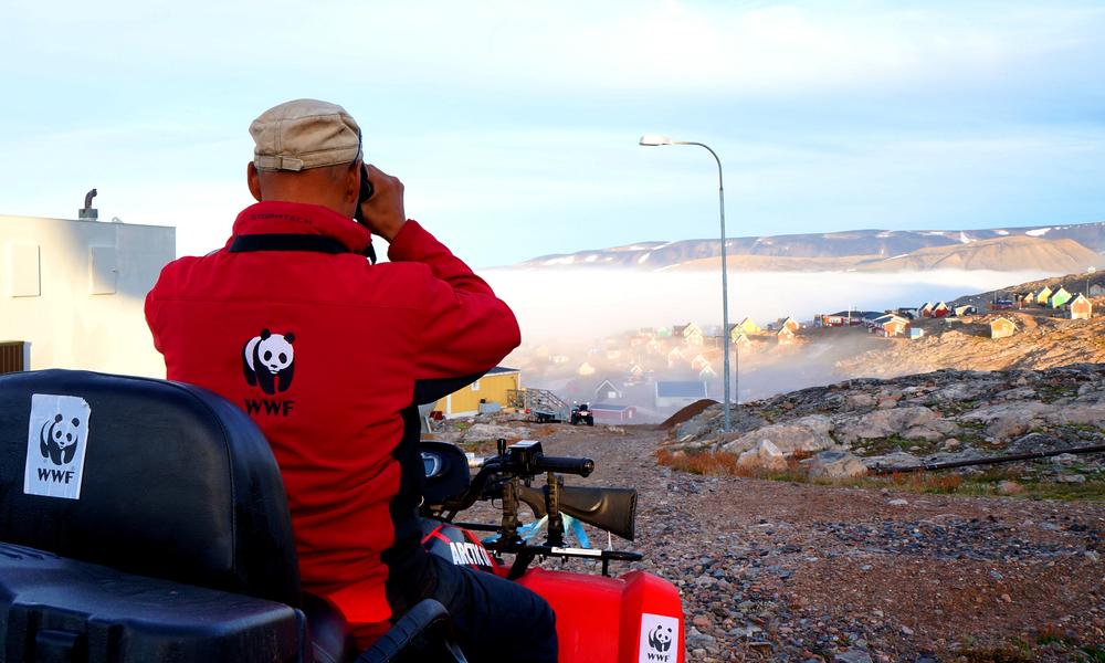 polar bear patrol in Greenland