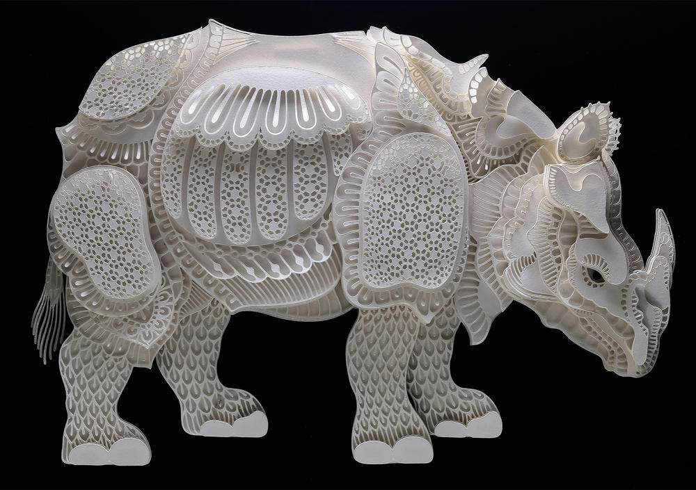 Cabral rhino summer2018