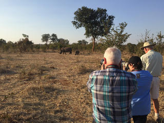 discover rhino photog summer2018