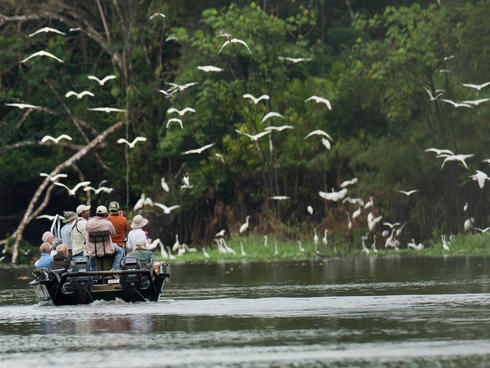 Travellers bird watch in the Peruvian Amazon