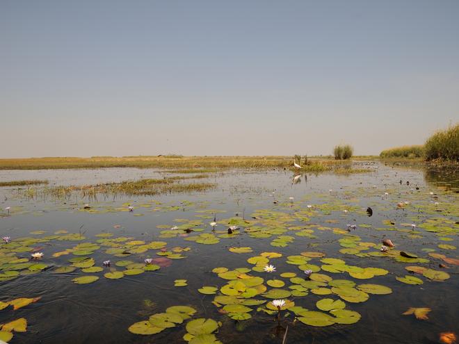 What is Freshwater and Where is it Found?