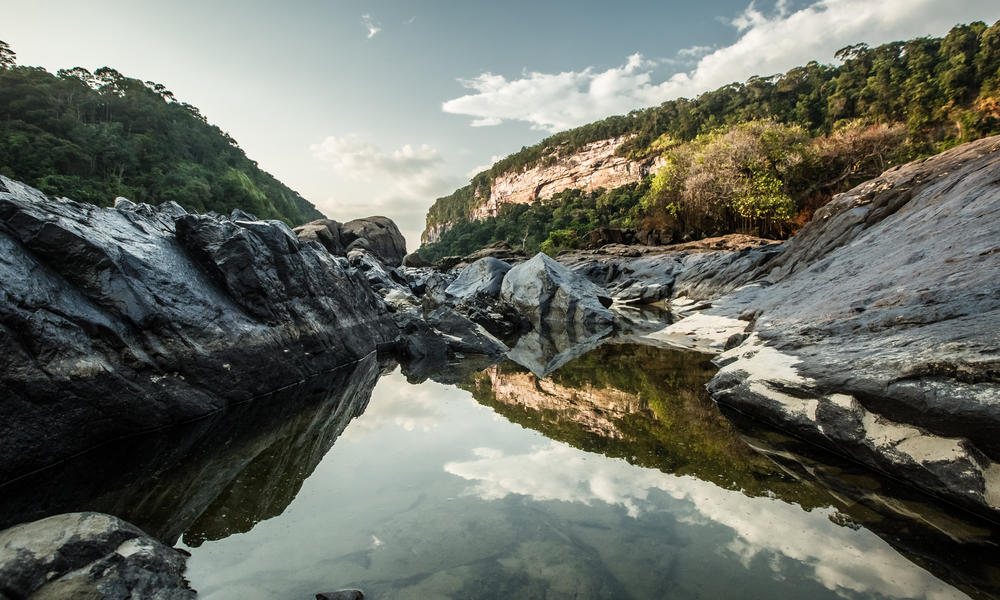 Que Hacemos | Descubre WWF