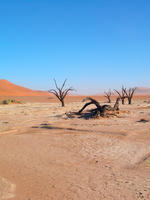 Namib Desert