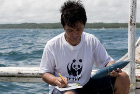 Whale Shark Research