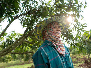 feature thailand scarf winter2018