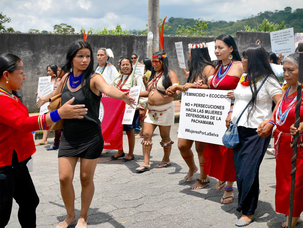 Activist Nina Gualinga On Protecting The Amazon Magazine Articles Wwf