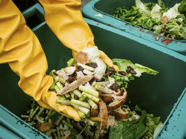 Reaching into a bin of compost waste