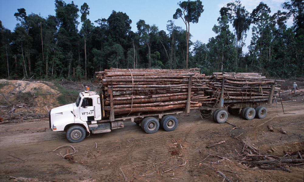 Pulp and Paper Impacts