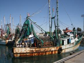Shrimp fishery, Mexico
