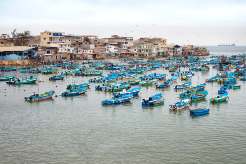 Fishing boats in harbor