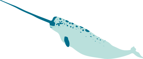 Illustration of Narwhal