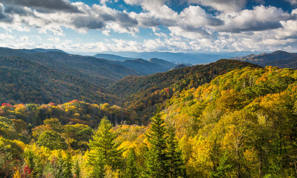 Piedmont landscape