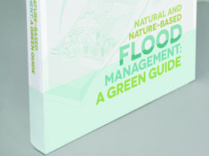 flood management book