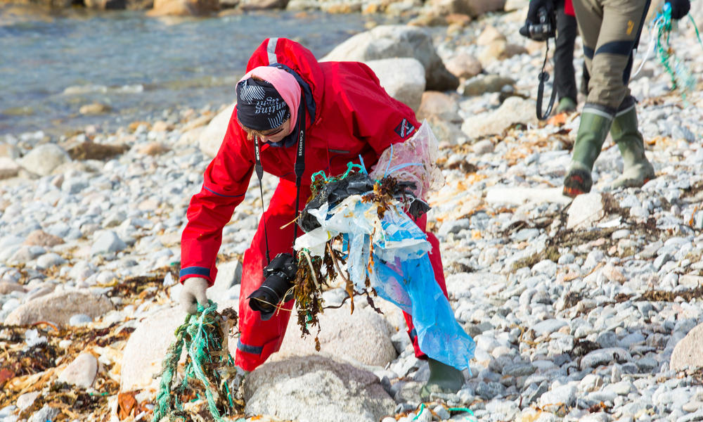 Que Comen Las Tortugas Marinas Bolsas De Plastico Desafortunadamente Historias Descubre Wwf