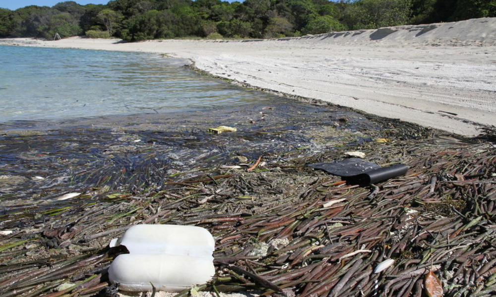 plastic at Millman RSwwfau12358