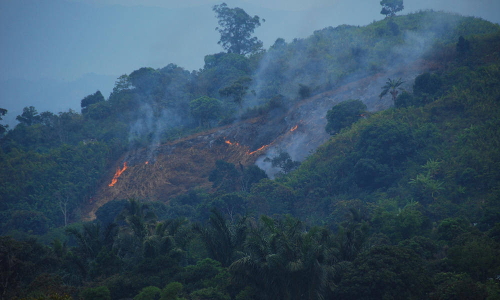 forest fire Madagascar WW199886 Martina Lippuner