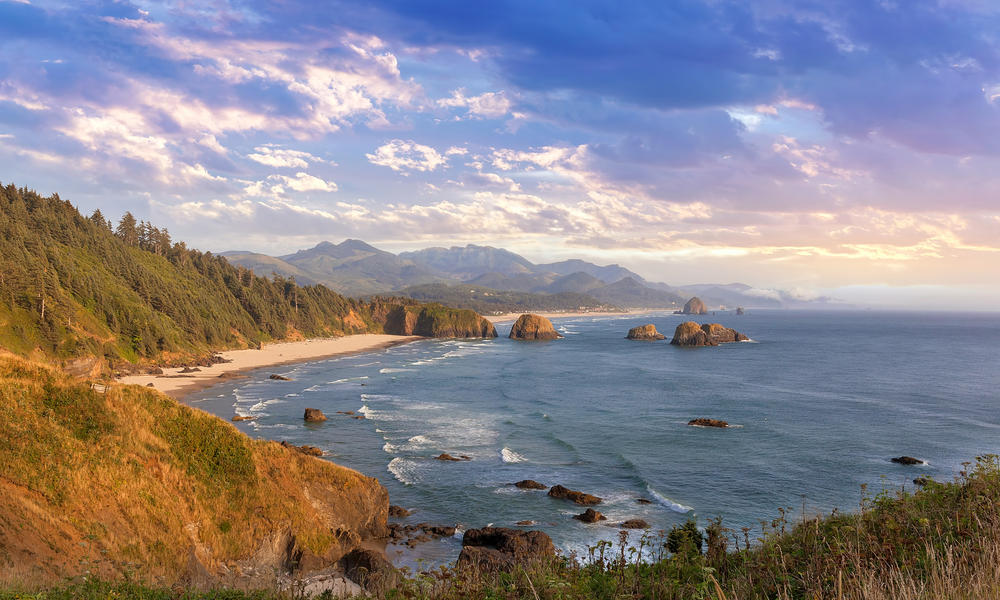 Beach landscape