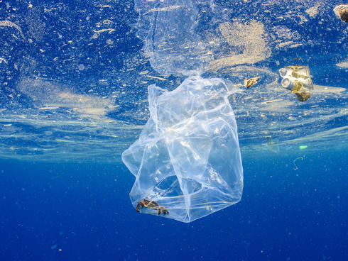 What do sea turtles eat? Unfortunately, plastic bags. | Stories | WWF