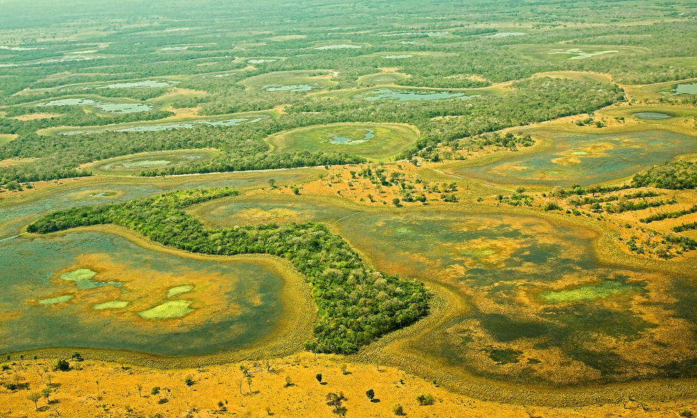 Aerial View Of Pantanal_WW137509_R.Isotti, A.Cambone / Homo Ambiens ...