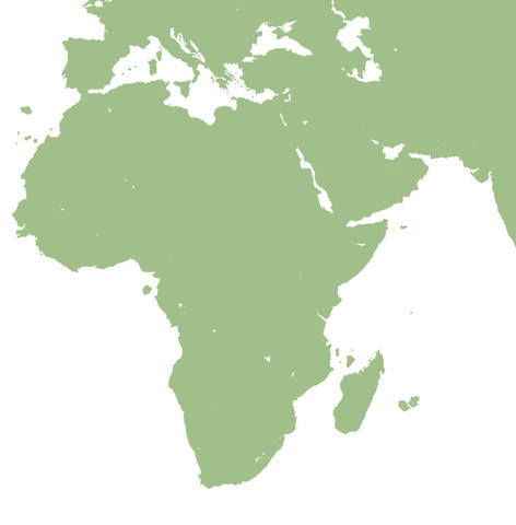 Vector map of the continent of Africa, part of Europe and the Middle East