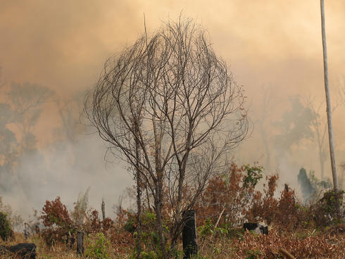 Amazon fire in Brazil, summer 2019.