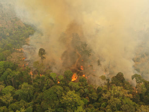 Overhead image from the fires in the Brazilian Amazon, 2019.