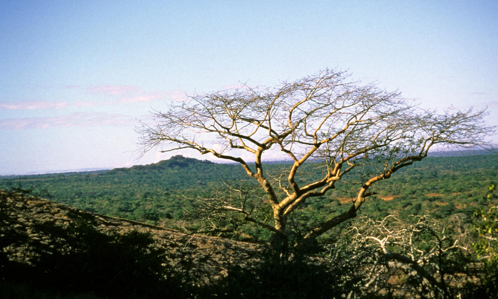 Mozambiquec