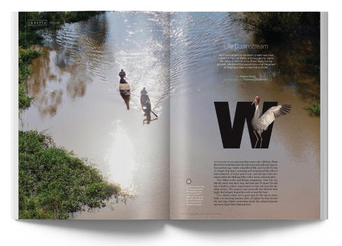 Life Downstream feature