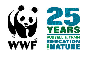 Anniversary Logo