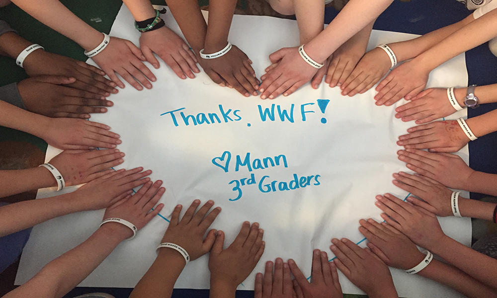 WWF Food Waste Warrior - Class Thank You Card