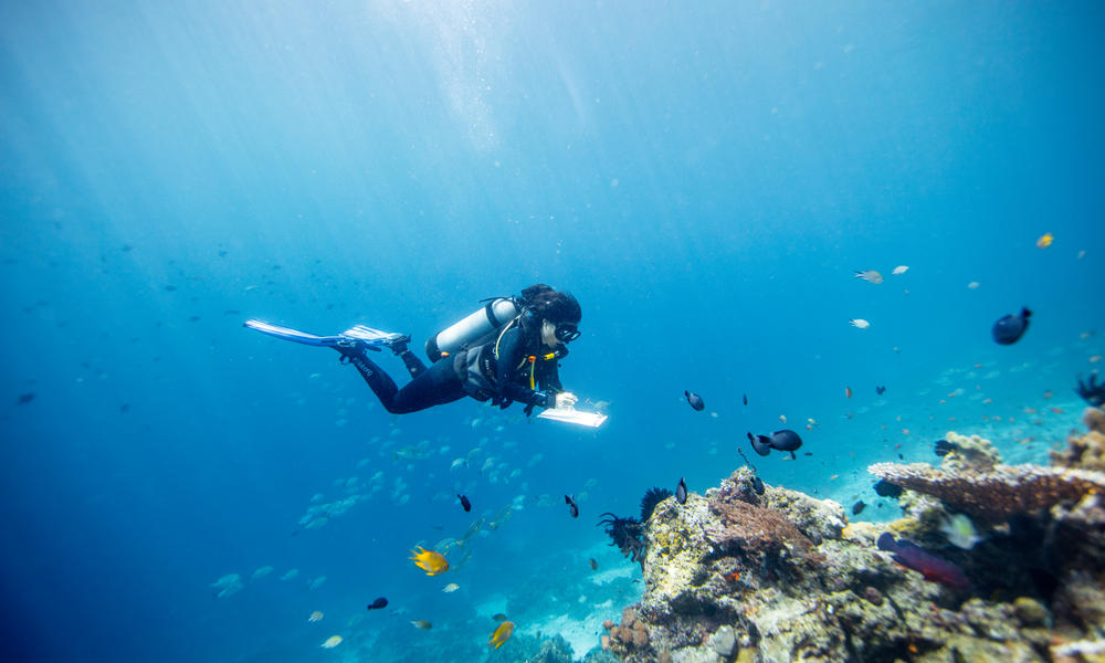 Gabby Ahmadia, senior marine scientist at WWF, surveys a reef in the Selat Dampier MPA, Raja Ampat, West Papua, Indonesia