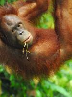 Travel - Wildlife Tours and Nature Trips | WWF