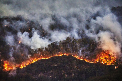 Devastadores Incendios Forestales En Australia Historias Descubre Wwf