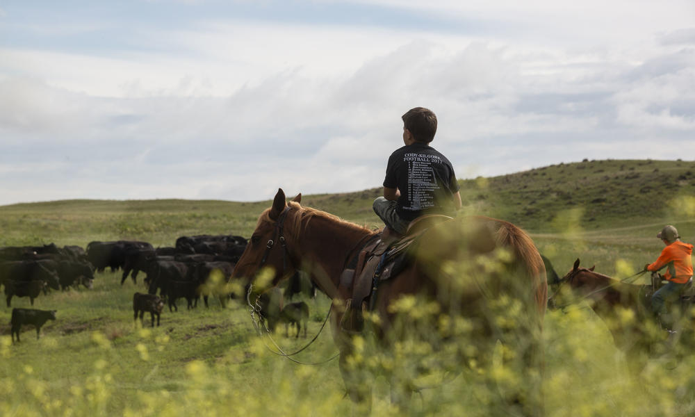 Riding a horse in Nebraska, United States