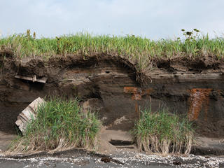 Riverbank