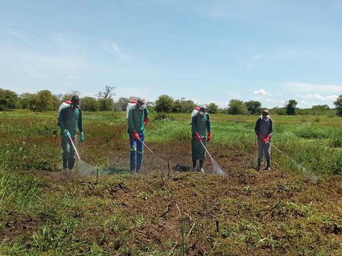 Rooting Out A Pesky Plant In The Zambezi River Basin Magazine Articles Wwf
