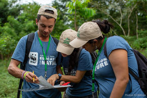 Forest restoration workshop participants review data