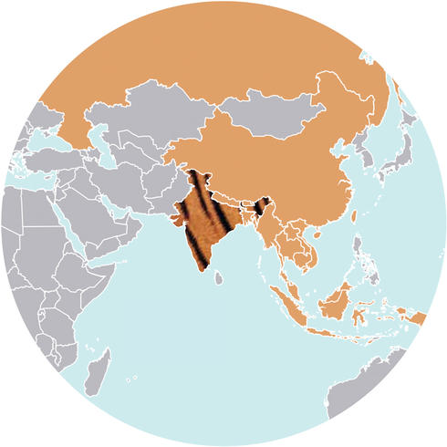 World map of Tigers