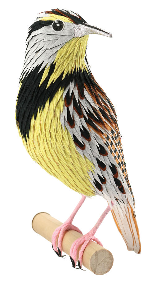 Meadowlark No 2