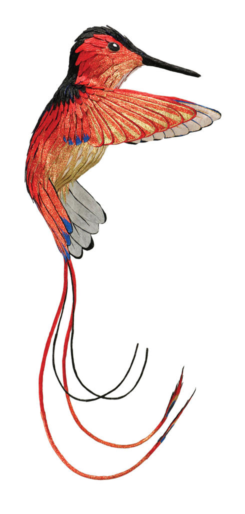 PATTERSON HUMMINGBIRD