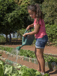 Student waters plant in school garden