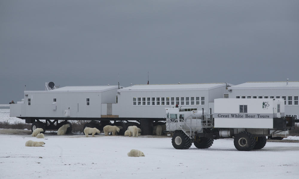 Tundra Lodge