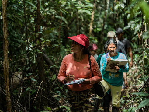 An Ecosystem Services Assessment team walks through the forest