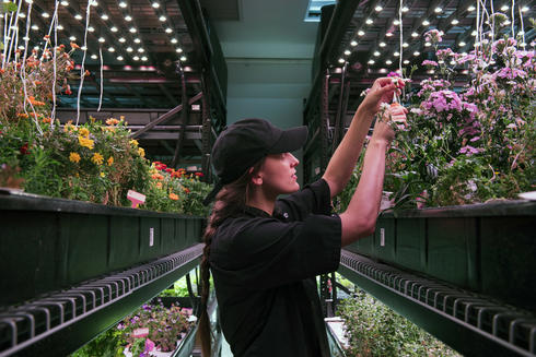 Farm.One's Tribeca, NYC Flagship Farm.
